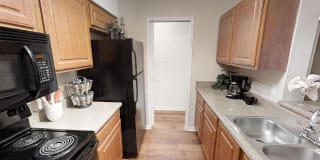 Turtle Lake Gallery 15