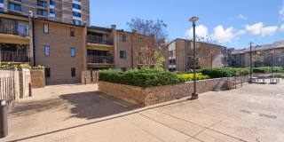 102 Monroe Street - 201 Gallery 2