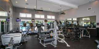 951 Doveplum Ct Gallery 22