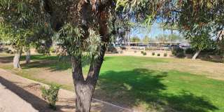 Charming 2 Bedroom Home with Den in Prime Location! Gallery 16