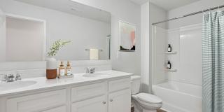 Poplin Trace Gallery 17