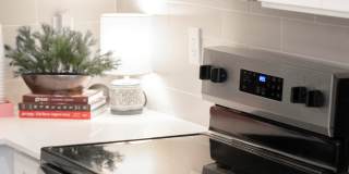 The One at Millington Gallery 4