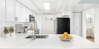 Palm Trace Landings Gallery 36