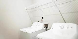 Alta Wren Gallery 17