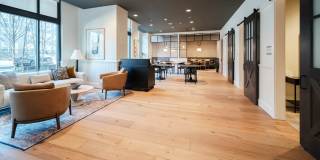 Alexan Harrison Apartments Gallery 81