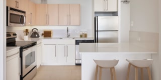 Regents Park Gallery 31