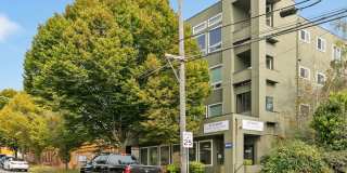 West Seattle Flats Gallery 3