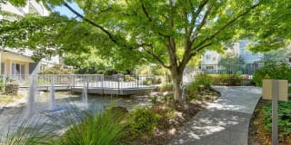 The Retreat Apartments Gallery 23