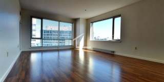 Luxury Fenway Apartment minutes walk to NEU and more!  Laundry in Unit! Pet Friendly Gallery 6