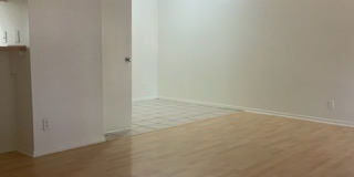 Kensington Court Gallery 43