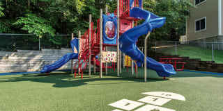 Katahdin Woods Gallery 7