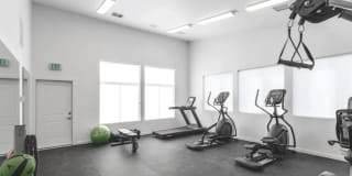 The Monika Gallery 18