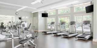 Prynne Hills Gallery 24