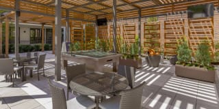 Gateway Chastain Gallery 55