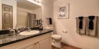 Lake Pointe Apartments Gallery 18