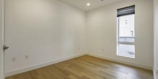 Tess Gallery 4