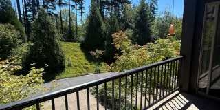 Stunning Contemporary townhome in Coveted Peterkort Woods, near St. Vincent's in Cedar Mill Stunning Contemporary townhome in Coveted Peterkort Woods, near St. Vincent's in Cedar Mill Gallery 19