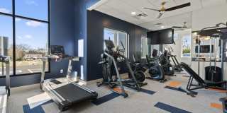 The Canvas Gallery 17