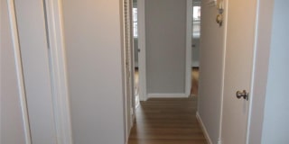 107 Mitchell Avenue Gallery 10