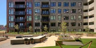 The Lafayette Gallery 47