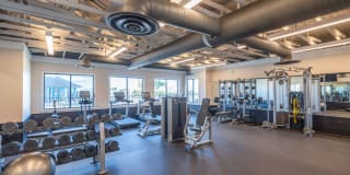 North Hill Apartments Gallery 20