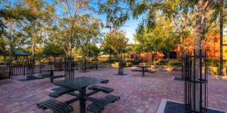 3188 MIST EFFECT Avenue Gallery 28