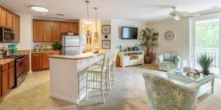 River House Apartments Gallery 32
