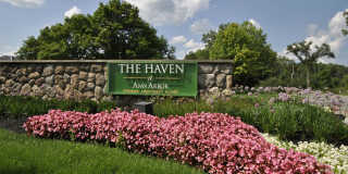 The Haven of Ann Arbor Gallery 26