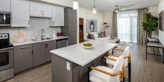 Aliso Gallery 6