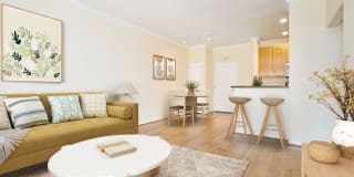 The Piero Gallery 40