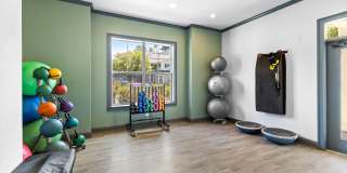 Olympus Fenwick Gallery 33