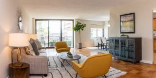 The Pierre Gallery 8