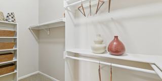 Colonnade Gallery 12