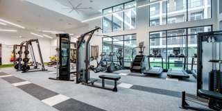Lakeshore Pearl Gallery 22