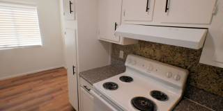 2608 Mesquite Ave - 1 bed Apartment - NO PETS Gallery 11