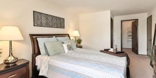 New Fountains Gallery 3