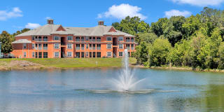 Bermuda Estates Ormond Gallery 32