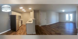 The Trace at 161 Gallery 6