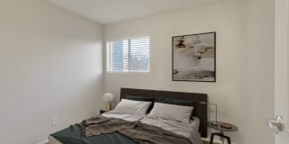 Canopy Creek Apartments Gallery 6