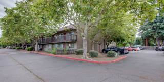 Bagley Estates Gallery 1