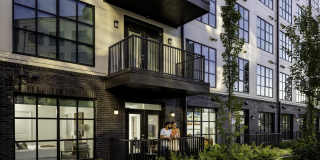 565 Hank by Windsor Gallery 12