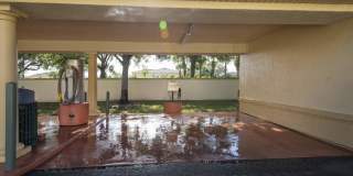 Victoria Place Gallery 80