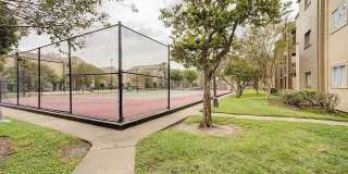 Ashford Santa Ana Gallery 25