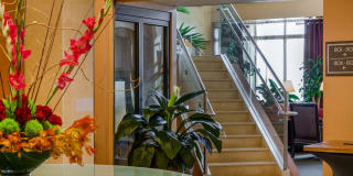 The Palisades of Bethesda Gallery 38
