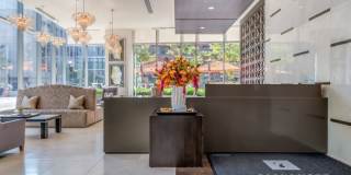 7SEVENTY7 7SEVENTY7 Gallery 100