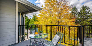 Welcome to Cambria Hills! Gallery 20