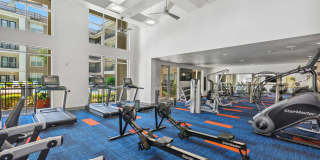 Alma on Maple Gallery 3