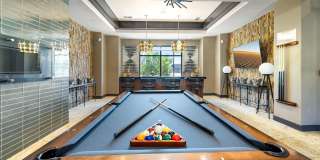 Olympus Alameda Gallery 24