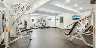 Tuscany Gardens Gallery 14