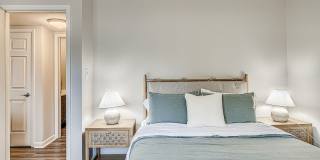 Oasis Gallery 22